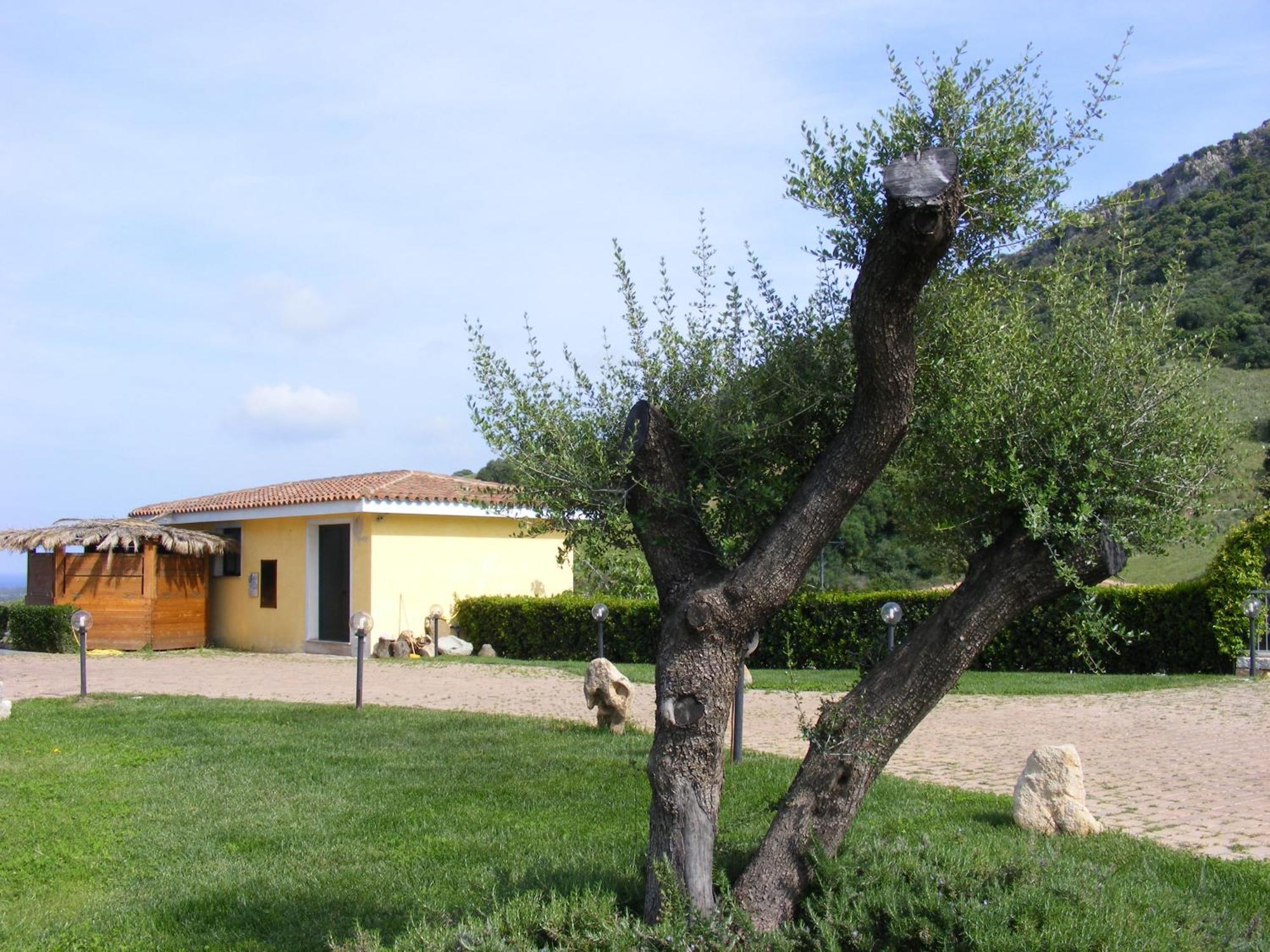 Tenuta Su Vrau Posada  Exteriér fotografie