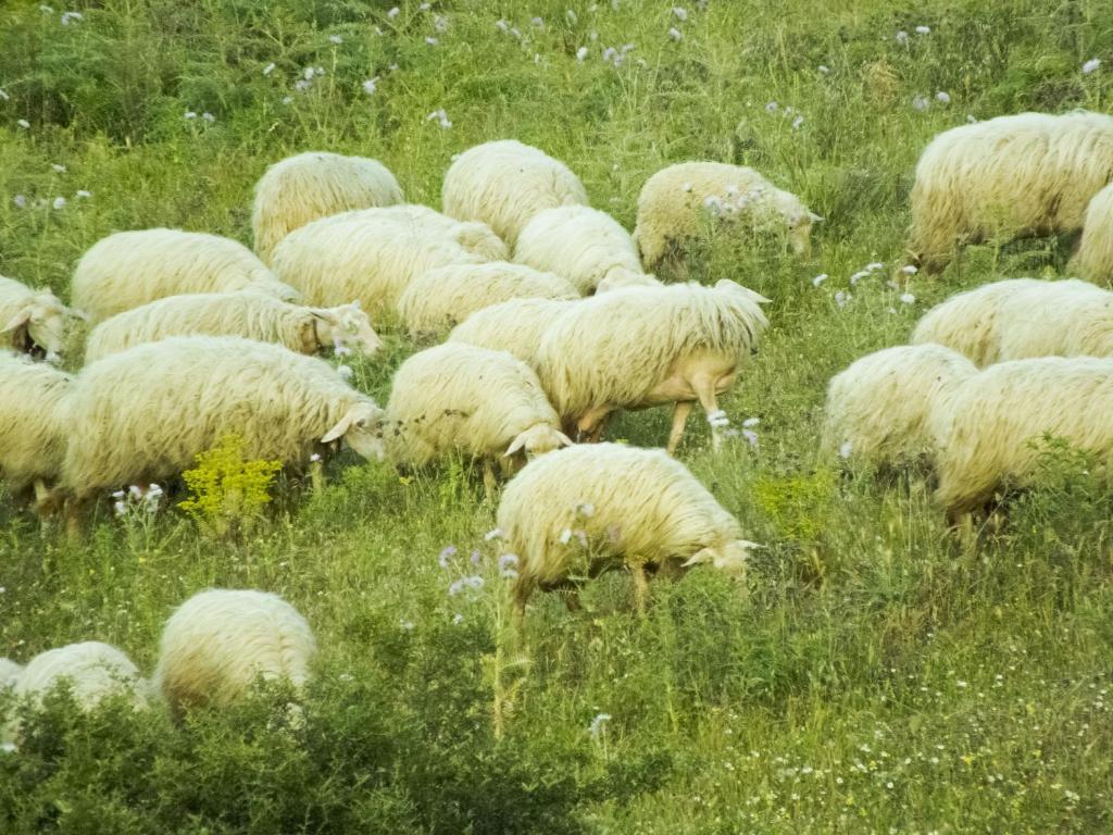Tenuta Su Vrau Posada  Exteriér fotografie